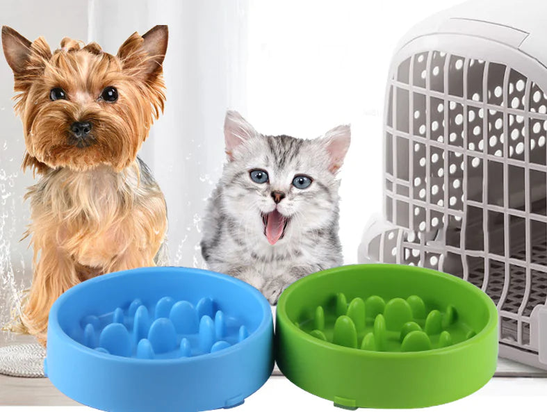 Pet Slow Feed Bowl for Healthy Digestion and Weight Loss