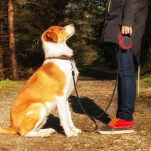 Automatic Retractable Dog Leash with Paw Print Design