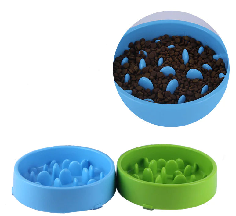 Pet Slow Feed Bowl for Healthy Digestion and Weight Loss